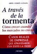 Libro A través de la tormenta