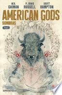 Libro American Gods Sombras no 07/09