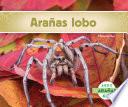Libro Arañas lobo (Wolf Spiders) (Spanish Version)