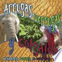 Libro Arrugas, verrugas y colgajos
