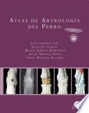 Libro Atlas de artrología del perro. Edición actualizada con animaciones 3D