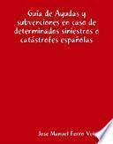 Libro Ayudas y subvenciones en caso de determinados siniestros o catástrofes españolas