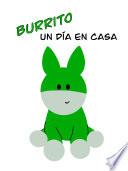 Libro Burrito - Un día en casa