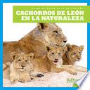 Libro Cachorros de león en la naturaleza