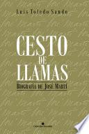 Libro Cesto de llamas. Biografía de José Martí