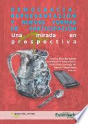 Libro Democracia, representación y nuevas formas de participación