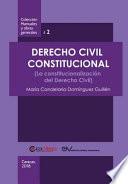 Libro Derecho Civil Constitucional