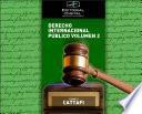 Libro Derecho Internacional Público. Volumen 2