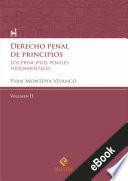 Libro Derecho penal de principios (Volumen II)