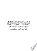 Libro Derechos sociales y positivismo jurídico