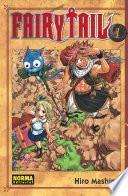 Libro Fairy Tail 1