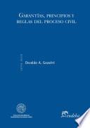 Libro Garantías, principios y reglas del proceso civil