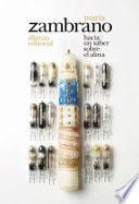 Libro Hacia un saber sobre el alma