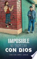 Libro Imposible no tropezar con Dios
