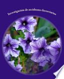 Libro Investigacin de accidentes ferroviarios