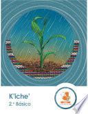 Libro K'iche' 2.° Básico - IGER
