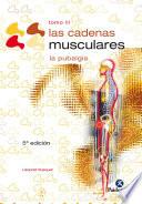 Libro Las cadenas musculares (Tomo III)