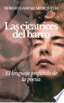 Libro Las cicatrices del barro