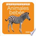 Libro Libro Desplegable. Animales Bebés