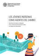 Libro Los jóvenes indígenas como agentes del cambio