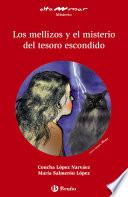 Libro Los mellizos y el misterio del tesoro escondido