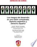 Libro Los riesgos del desarrollo en una visión comparada