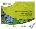 Libro Manejo fitosanitario del cultivo de la vid (vitis vinifera y V.labrusca) medidas para la temporada invernal