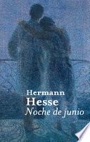 Libro Noche de junio