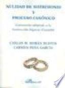 Libro Nulidad de matrimonio y proceso canónico