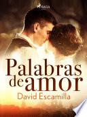 Libro Palabras de amor