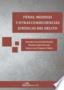 Libro Penas, medidas y otras consecuencias jurídicas del delito.
