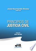 Libro Principios de Justicia Civil