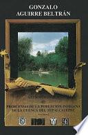 Libro Problemas de la población indígena de la cuenca del Tepalcatepec
