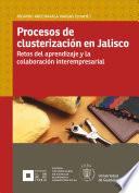 Libro Procesos de clusterización en Jalisco