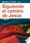 Libro Siguiendo el camino de Jesús