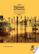 Libro Sistemas urbanos