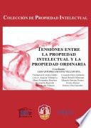 Libro Tensiones entre la propiedad intelectual y la propiedad ordinaria