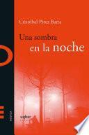 Libro Una sombra en la noche