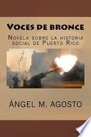 Libro Voces de Bronce